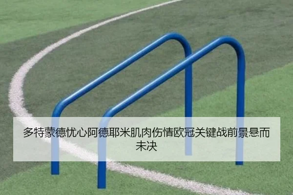 谢尔顿横扫门希克强势挺进加拿大赛四强